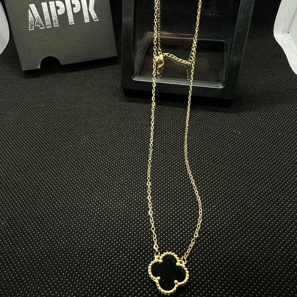 Gold Necklace with Black Pendant
